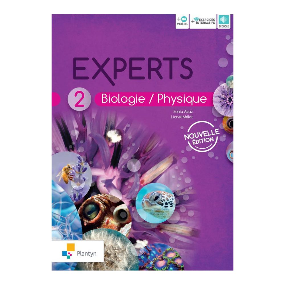 Experts 2 Nouvelle édition (+ Scoodle)