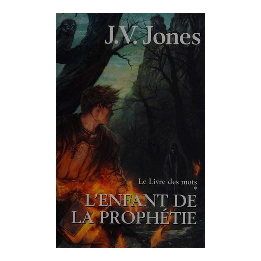 Le livre des mots